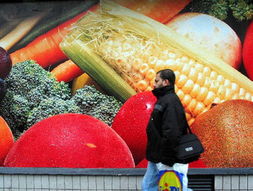 法国2003年食品零售价格指数微降 新鲜水果零售价格变化分析