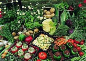 破解农产品“卖难”困局 优化食用农产品零售的创新路径