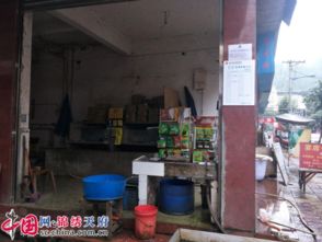 大英县 食用农产品快速检测点设到乡镇农贸市场，保障新鲜水果零售安全